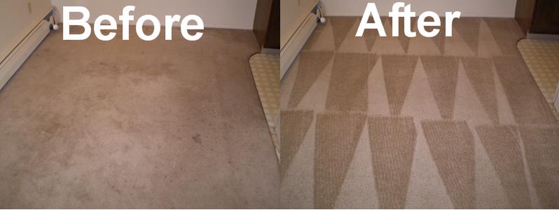 carpet cleaning upholstery queens before cleaners steam harbor ny services professional london service sydney east deep again every satisfied hundreds