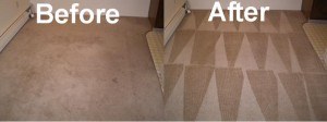 798 before and after carpet cleaning1 13