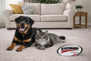 scotchgard protector the best